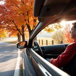 Professional Help for Driving Anxiety